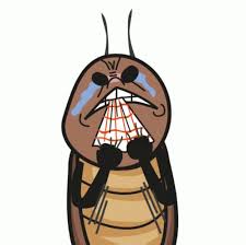 Gambar metamorfosis hemimetabola pada kecoa. Kecoa Crochies Sticker Kecoa Crochies Raraheys Discover Share Gifs