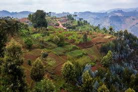 This is musanze, rwanda landscape by bethanycommunitychurch on vimeo, the home for high quality videos and the people who love them. Rwanda Gaborone Declaration For Sustainability In Africa Gdsa
