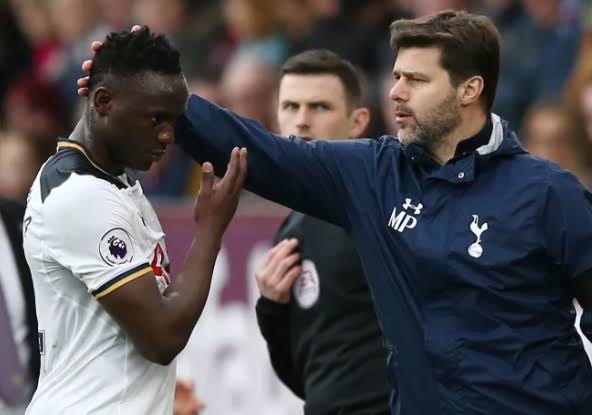 Image result for pochettino wanyama"