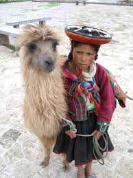 Llama hiking - Wikipedia