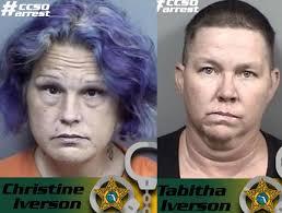84 Animals Rescued, 2 Women Arrested After Emaciated Dogs Found In Citrus  County Home