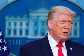 Karatecas ecuatorianos que representan con orgullo al país