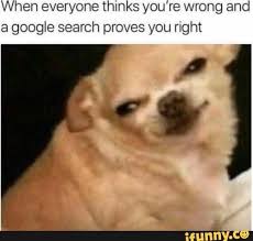 When Everyone Thmks You Re Wrong And A Google Search Proves You Right Ifunny Funny Instagram Memes Funny Dog Memes Funny Animal Jokes