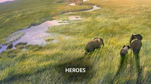 Planet Earth III - watch free online documentaries - ihavenotv.com