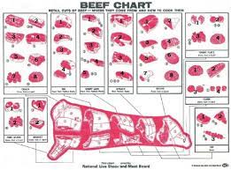 Have fun making trivia questions about swimming and swimmers. Retail Cuts Of Beef Quiz By Myitbos