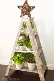 5 Ways To Decorate For The Holidays With Plants Stacy Risenmay Christmas Plants Plant Decor Christmas Decorations