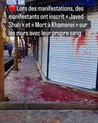 Ceci n'est pas un happening des bulots pro Hamas de science po … la  jeunesse iranienne écrit avec son sang avant de mourir « mort à Khamenei et  longue vie au Shah ».
