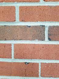 Complimentary colors are important here. Best Exterior Colors For Orange Brick
