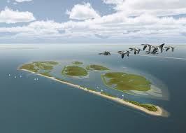 Een geheel zelfvoorzienende nederzetting op het natuurgebied de marker wadden is donderdag officieel open gegaan voor publiek. Marker Wadden Landal Vakantiehuisje Duurzame Vakantie In Eigen Land