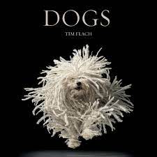 Should you be adding dog supplements to your pooch's. Dogs Blackwell Lewis Flach Tim Amazon De Bucher