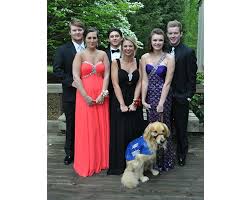 Veterans most people think of a service dog as a large breed dog for the blind or for working with a person confined to a wheelchair. Service Dogs At School And The Ada