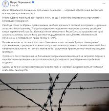 Оппозиционного политика и блогера алексея навального задержали на паспортном контроле в аэропорту шереметьево. Dmbw Zawrpu1m