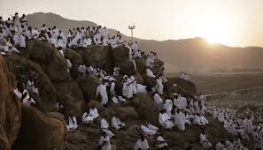 Dimulai dengan sholat zhuhur dan asar (jama' qasr) lalu diikuti dengan khutbah arafah oleh khatib. Jemaah Haji Indonesia Sudah Diberangkatkan Untuk Wukuf Di Arafah Nasional Tempo Co