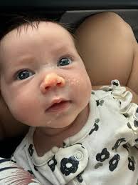 Why does the shower and loo have to keep being fixed, I think once or maybe  twice would be enough. It really does annoy me to have to keep fixing. And  how