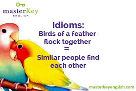 Birds Of A Feather Flock Together Song English Idiom Birds Of A Feather Flock Together Masterkey English
