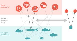 Maybe you would like to learn more about one of these? Social Ecological Alignment And Ecological Conditions In Coral Reefs Nature Communications