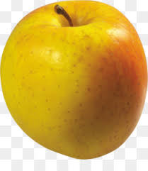 Some of the classics, such as jonagold, may be very familiar but others are relatively new yellow apple varieties. Yellow Apple Png And Yellow Apple Transparent Clipart Free Download Cleanpng Kisspng