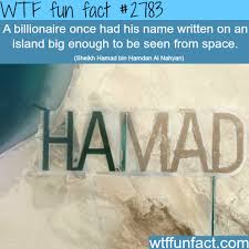 48 Wtf Fun Facts Gallery Wtf Fun Facts Fun Facts Funny Facts