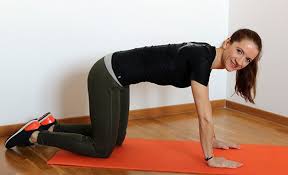 What is a cat cow. Reductress How I Finally Got My Crush To Notice Me By Loudly Doing Cat Cow Pose
