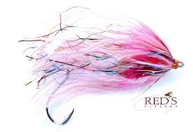 We did not find results for: Fish Taco Steelhead Fly Black Red S Fly Shop