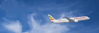 Ethiopian airlines group invites willing candidates to bid for representing ethiopian airlines group in the sales territory of taiwan as cargo general sales and services agent (gssa). The Impact Of Covid 19 On Ethiopian Airlines Recovery Preparedness And Challenges Eurocontrol