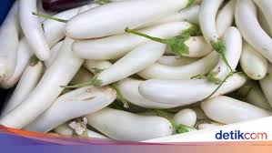 Terong bulat dapat dikonsumsi sebagai lalapan, sedangkan terong belanda bisa diolah menjadi jus. Selain Terung Ungu Jenis Terung Ini Juga Patut Dicicip