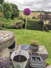 This works with any 1x1 size flower. Samasaurus6 On Twitter Recognise This Minecraft Flower It S An Allium This One Is Over A Metre Tall Perhaps We Need To Make It A Double Tall Plant Https T Co Zdvkbgvo7o