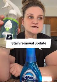 Easy Shrimp Scampi Flatbread Recipe for Entertaining