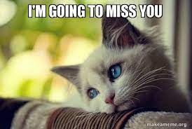 I M Going To Miss You First World Cat Problems Make A Meme