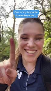 The whipbirds were paid actors in this video. #NatureConservationCouncil  #whipbird #aussiebush