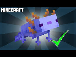 In bedrock edition, groups of one to four axolotls. How To Get The Rarest Axolotl In Minecraft