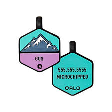 Custom engraved for life pet tags shipped daily from quebec. 8 Best Dog Id Tags 2021 Reviews Keeping Your Canine Safe
