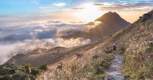 Sunset peak is the third highest peak in hong kong and stands at 869 metres above sea level. Lantau Island Sunset Peak 9 Km Difficult Hello Hong Kong