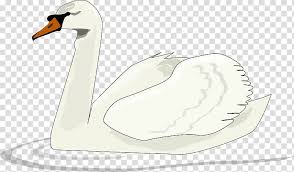 Black Swan Swan Lake Cartoon Swan Transparent Background Png Clipart Hiclipart Pikbest has 212 swan cartoon design images templates for free. black swan swan lake cartoon swan
