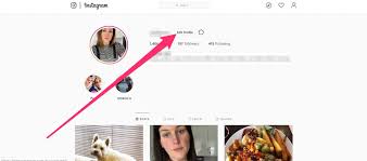 Maybe you're a budding artist, and sharing your profile on other social media. How To Put A Link In Your Instagram Bio On Desktop Or Mobile