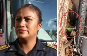 Eloísa, la mujer bombero que amamantó a bebé abandonada entre paredes en  Iztacalco