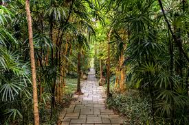 Bisma Eight Ubud Luxury Boutique Hotel Villas In Ubud Bali