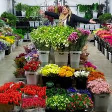Maybe you would like to learn more about one of these? Jet Fresh Flowers Archives Thursd