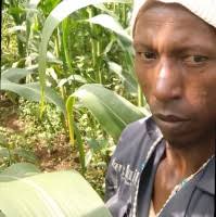 200+ "Koske" profiles