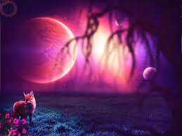 Galaxy Anime Fox Wallpapers On Wallpaperdog A collection of the top 27 galaxy panda wallpapers and backgrounds available for download for free.