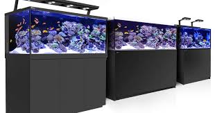 35 model aquarium ikan hias air tawar minimalis 2021. Daftar Harga Akuarium Rakitan Dan Akuarium Pabrikan Terbaru Ikanesia Id