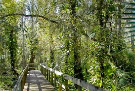 Pick up your supplies and info at the front desk. Eureka Springs Florida Hikes