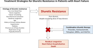 Image result for Loop Diuretic