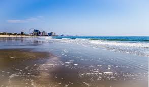 Start the New Year Off Right with a Trip to Myrtle Beach in January - Myrtle  Beach Vacation Guide