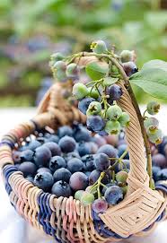 Mistymorrning Fruits Et Legumes Fruits D Automne Corbeille De Fruits