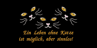 6 praktische tipps, um dein (sinnloses) leben zu genießen Stickdatei Ein Leben Ohne Katze Ist Moglich Aber Sinnlos 13x18 Rahmen Maschinenstickerei Kissenmuster Text Spruch Pfoten In 2020 Fictional Characters Character Art