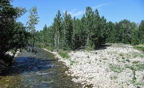 We have 11 creek side rentals available at this time. Rock Creek In Montana Fly Fishing Information Photos Detailed Guide