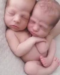 Introducing baby girl Harper. She has two older brothers who absolutely  adore her. I got to photograph all three as newborns which makes my heart  so...