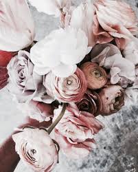 Pinterest Emmaa0616 Composition Florale Fleur Rose Belles Fleurs