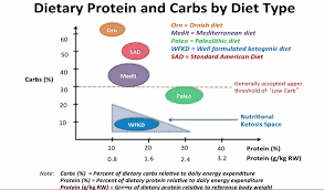 Is Protein In Keto Important Keto Island